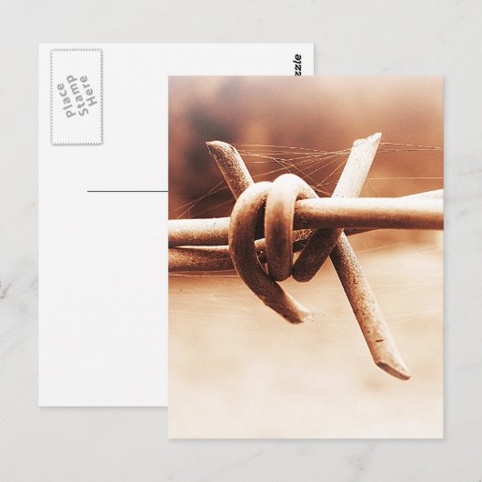 Barbwire en Spider Web in Sepia Briefkaart (Voorkant / Achterkant)