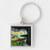 Barcelona, Gaudi - Lizard, Spanje - stad Sleutelhanger (Voorkant)