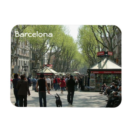 Barcelona Magneet (Horizontaal)