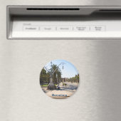 Barcelona Magneet (Insitu (Vaatwasser))