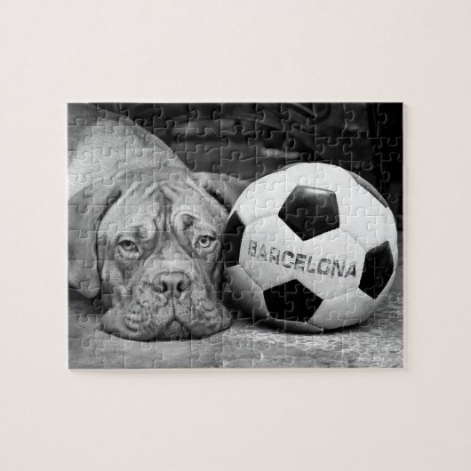 Barcelona's soccer fanatic dog. Barcelona, Spain Legpuzzel (Horizontaal)