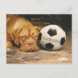 Barcelona's soccer fanatic dog briefkaart
