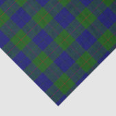 Barclay tartan blauwe groene vleid tissuepapier (Detail)