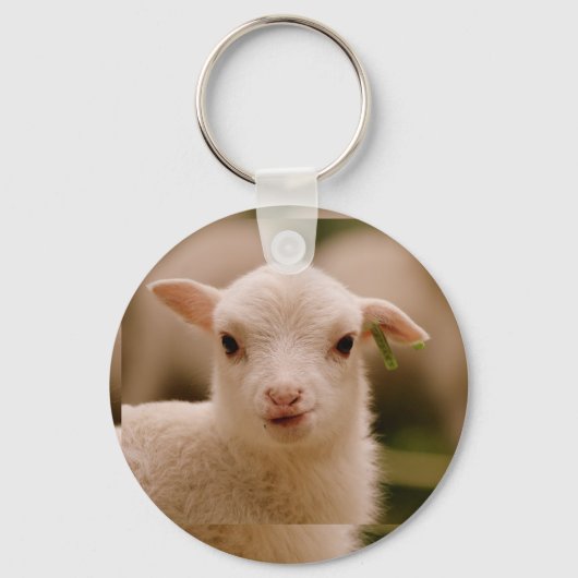 BARCOOS SLEUTELHANGER (Achterkant)