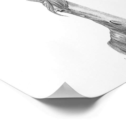 Bard-Poster Poster (Hoek)