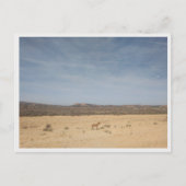 Bardenas Reales (Spanje) Briefkaart (Voorkant)