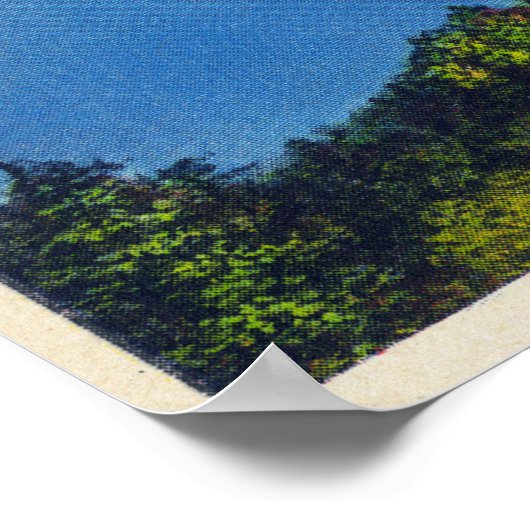 Bare Hill Uitzicht van het Canandaigua Lake Poster (Hoek)