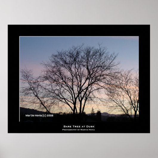 'Bare Tree at Dusk' Poster (Voorkant)