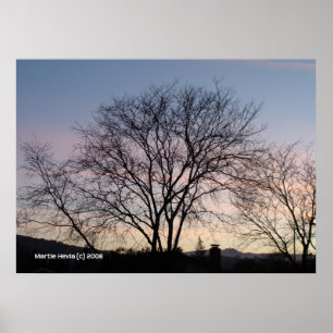 Bare Tree bij Dusk Poster