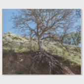 Bare tree on mountain during day cadeaupapier (Vlak)