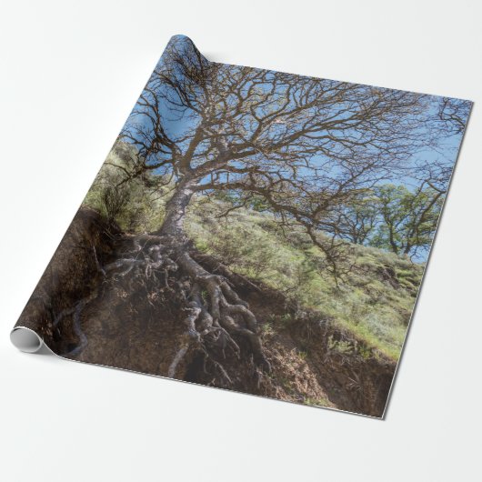Bare tree on mountain during day cadeaupapier (Uitgerold)