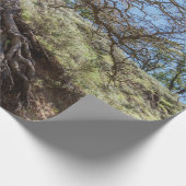 Bare tree on mountain during day cadeaupapier (Hoek)