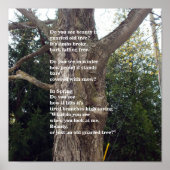 Bare Tree Poem voor Arbor Day Poster (Voorkant)