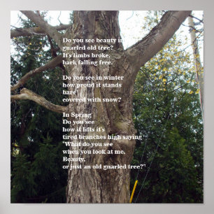 Bare Tree Poem voor Arbor Day Poster