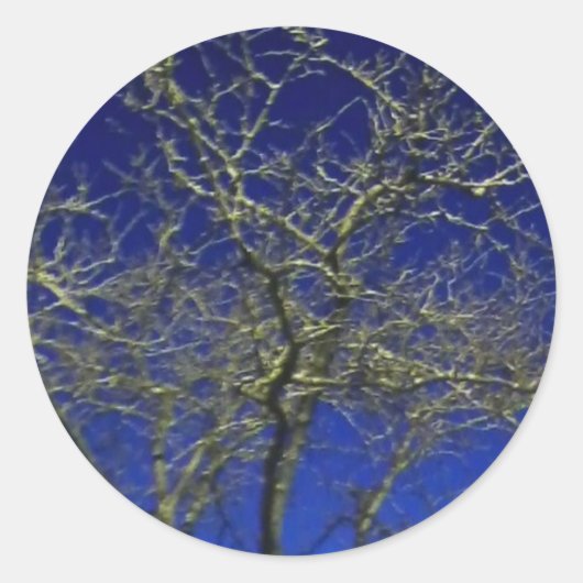 Bare Tree sticker (Voorkant)