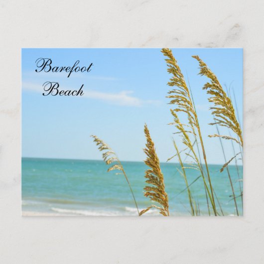 Barefoot Beach briefkaart (Voorkant)