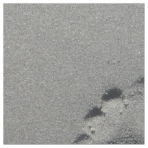 Barefoot-voetafdruk op strand en foto's