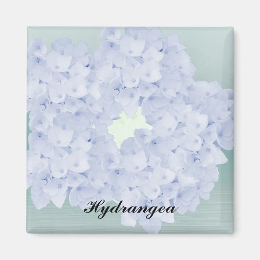Barely Blue Hydrangea Magnet (Voorkant)