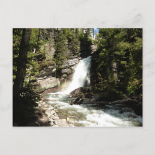 Baring Falls in Glacier National Park Briefkaart