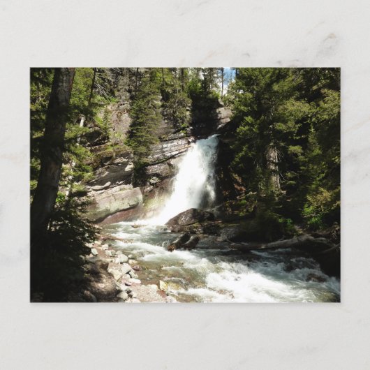 Baring Falls in Glacier National Park Briefkaart (Voorkant)
