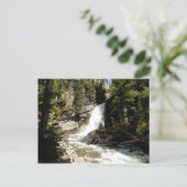 Baring Falls in Glacier National Park Briefkaart (Staand voorkant)