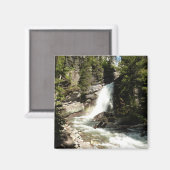 Baring Falls in Glacier National Park Magneet (Voorkant / Achterkant)