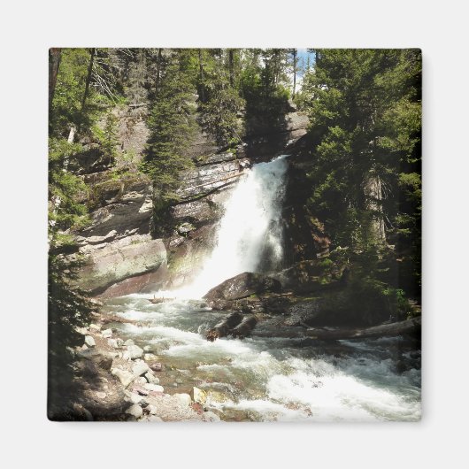 Baring Falls in Glacier National Park Magneet (Voorkant)