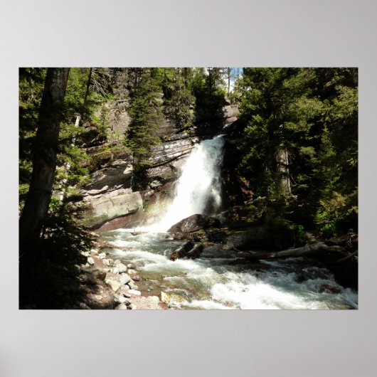 Baring Falls in Glacier National Park Poster (Voorkant)