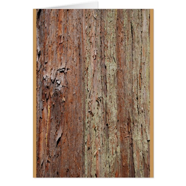 Bark (Voorkant)