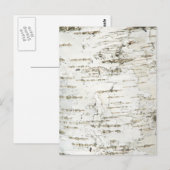 BARK BIRCH BRIEFKAART (Voorkant / Achterkant)