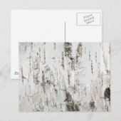 BARK BIRCH BRIEFKAART (Voorkant / Achterkant)