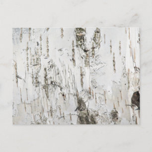 BARK BIRCH BRIEFKAART
