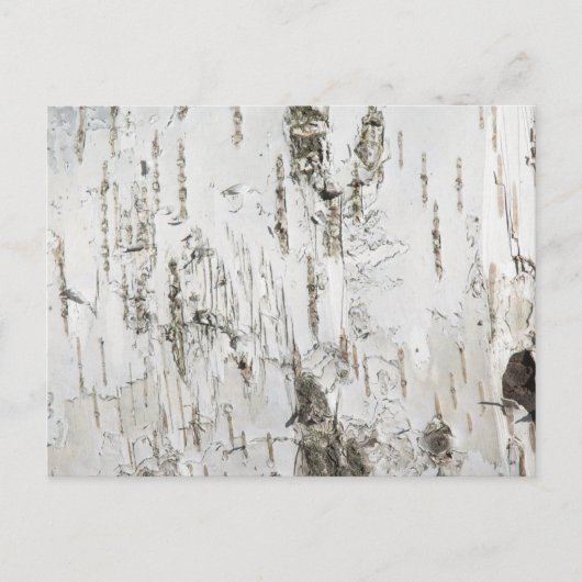 BARK BIRCH BRIEFKAART (Voorkant)