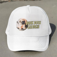 Bark Boss Huisdier Hond Foto Modern Eenvoudig Koel