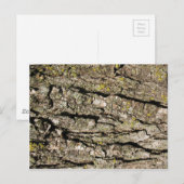 Bark Briefkaart (Voorkant / Achterkant)