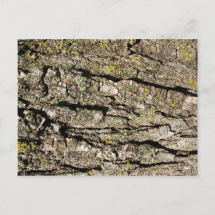 Bark Briefkaart