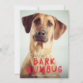 Bark Humbug Cute Funny Pet Dog Foto Feestdagenkaart (Voorkant)