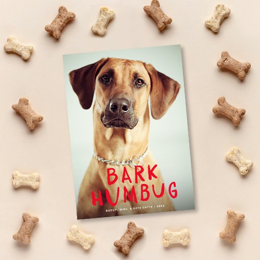 Bark Humbug Cute Funny Pet Dog Foto Feestdagenkaart