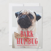 Bark Humbug Cute Puppy Dog | Holiday-foto Feestdagenkaart (Voorkant)