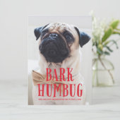 Bark Humbug Cute Puppy Dog | Holiday-foto Feestdagenkaart (Staand voorkant)