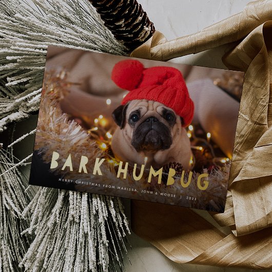 Bark Humbug | Foto Pet Folie Feestdagenkaart
