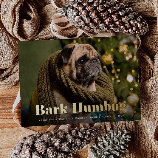 Bark Humbug | Foto Pet Folie Feestdagenkaart