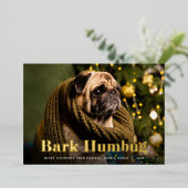 Bark Humbug | Foto Pet Folie Feestdagenkaart (Staand Voorkant)