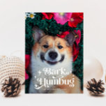 BARK HUMBUG Funny Dog Kerstmis Feestdagenkaart<br><div class="desc">Een leuke kerstfeestfoto-sjabloon voor hondeneigenaars met een retro-typografische tekst bovenaan die "bark humbug" met je hondenfoto zegt.</div>