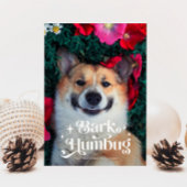 BARK HUMBUG Funny Dog Kerstmis Feestdagenkaart