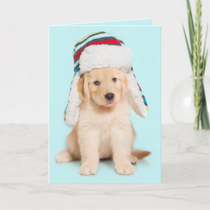 Bark Humbug Golden Retriever puppy Feestdagen Kaart