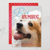 Bark Humbug Grappige Kersthond Custom Foto Feestdagenkaart (Voorkant / Achterkant)