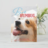 Bark Humbug Grappige Kersthond Custom Foto Feestdagenkaart (Staand voorkant)