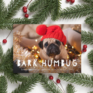 Bark Humbug   Pet Photo Holiday Card Feestdagenkaart