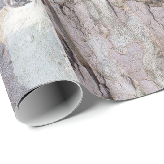 Bark of plane tree cadeaupapier (Rol Hoek)